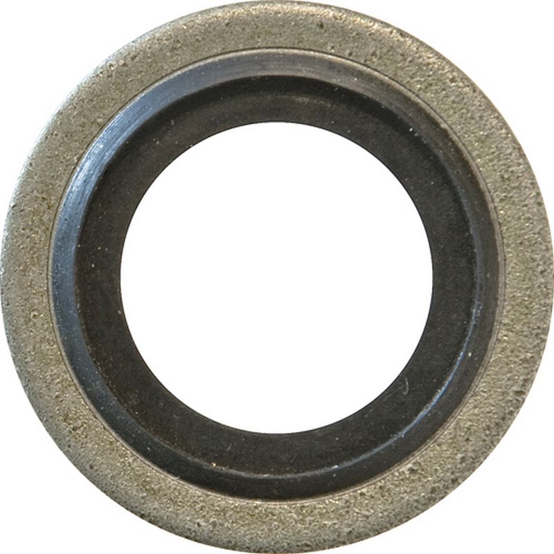 Bonded Seals (Dowty Washers)  BSP HSL43