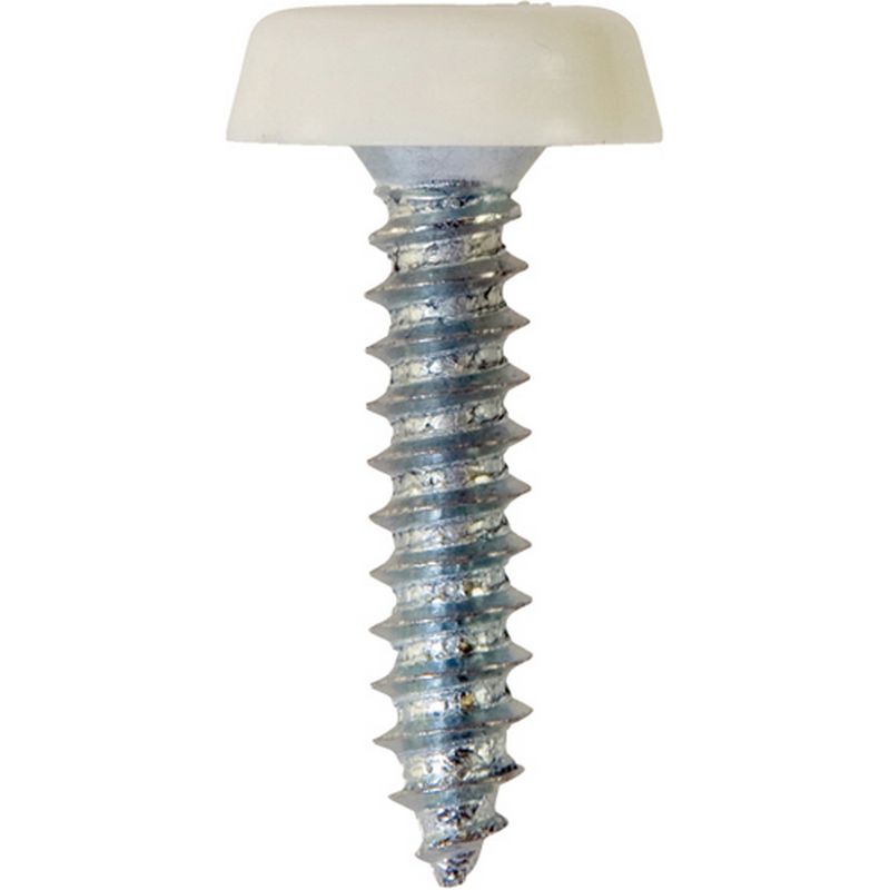 Number Plate Fasteners   Self Tappers with Plastic Head   Long NP10
