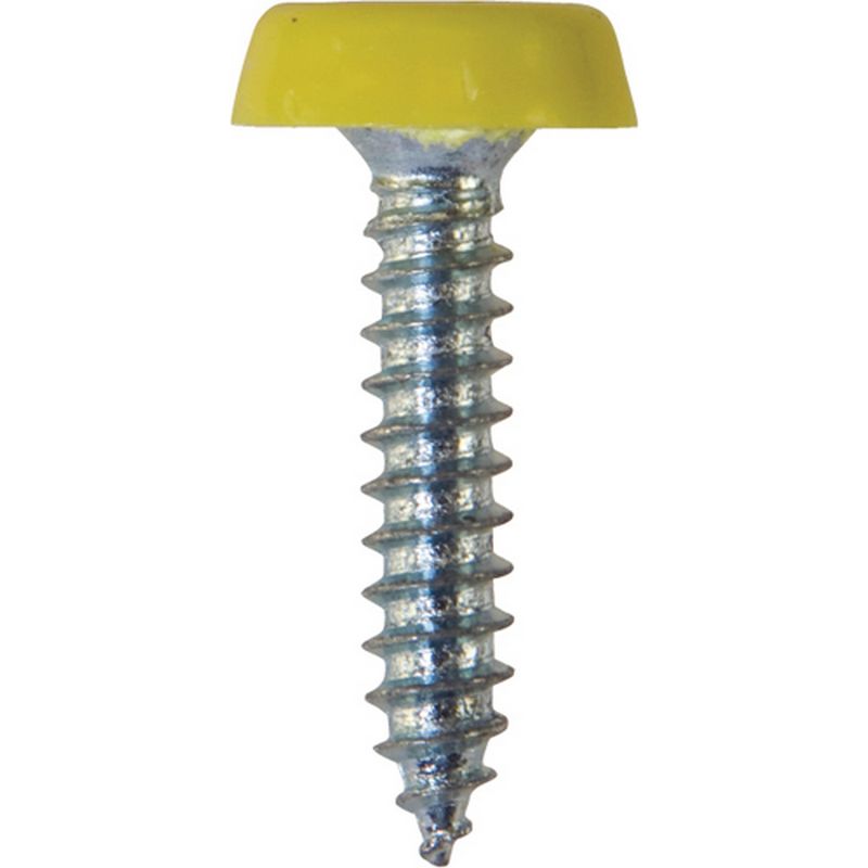 Number Plate Fasteners   Self Tappers with Plastic Head   Long NP11