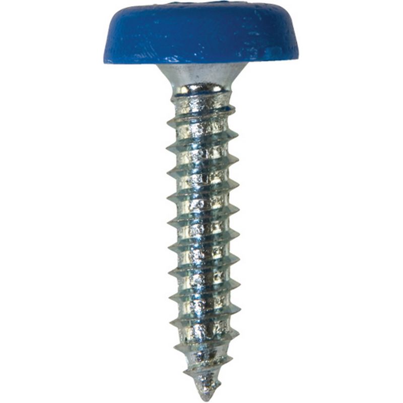 Number Plate Fasteners   Self Tappers with Plastic Head   Long NP21