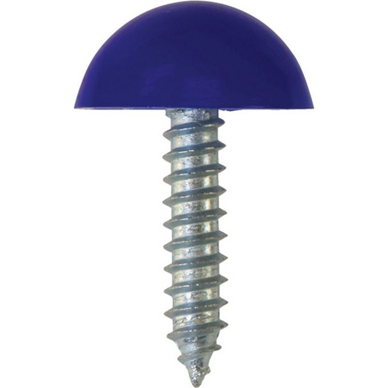 Number Plate Fasteners   Self Tappers with Domes and Cups NP22