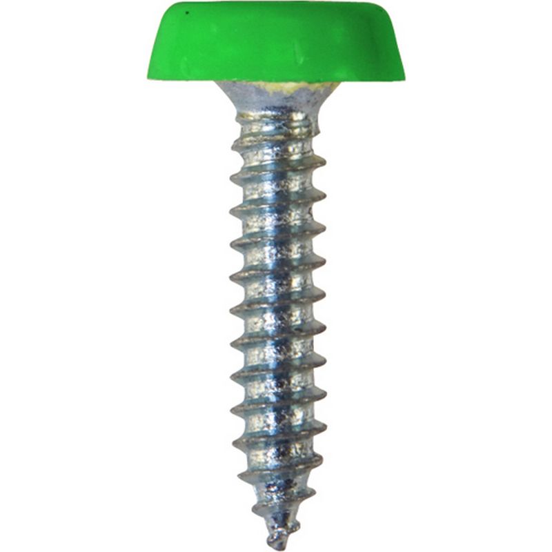 Number Plate Fasteners   Self Tappers with Plastic Head   Long NP40