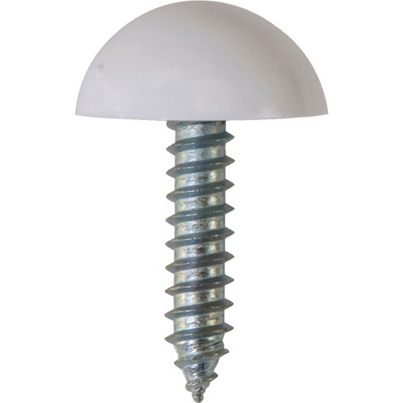 Number Plate Fasteners   Self Tappers with Domes and Cups NP7