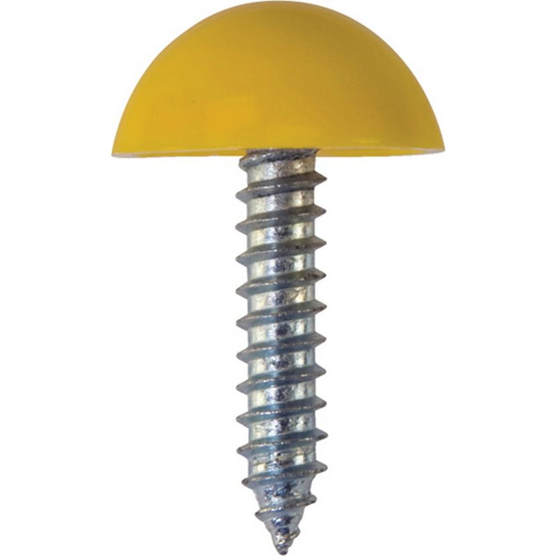 Number Plate Fasteners   Self Tappers with Domes and Cups NP8