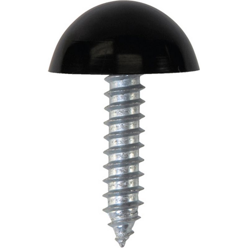 Number Plate Fasteners   Self Tappers with Domes and Cups NP9